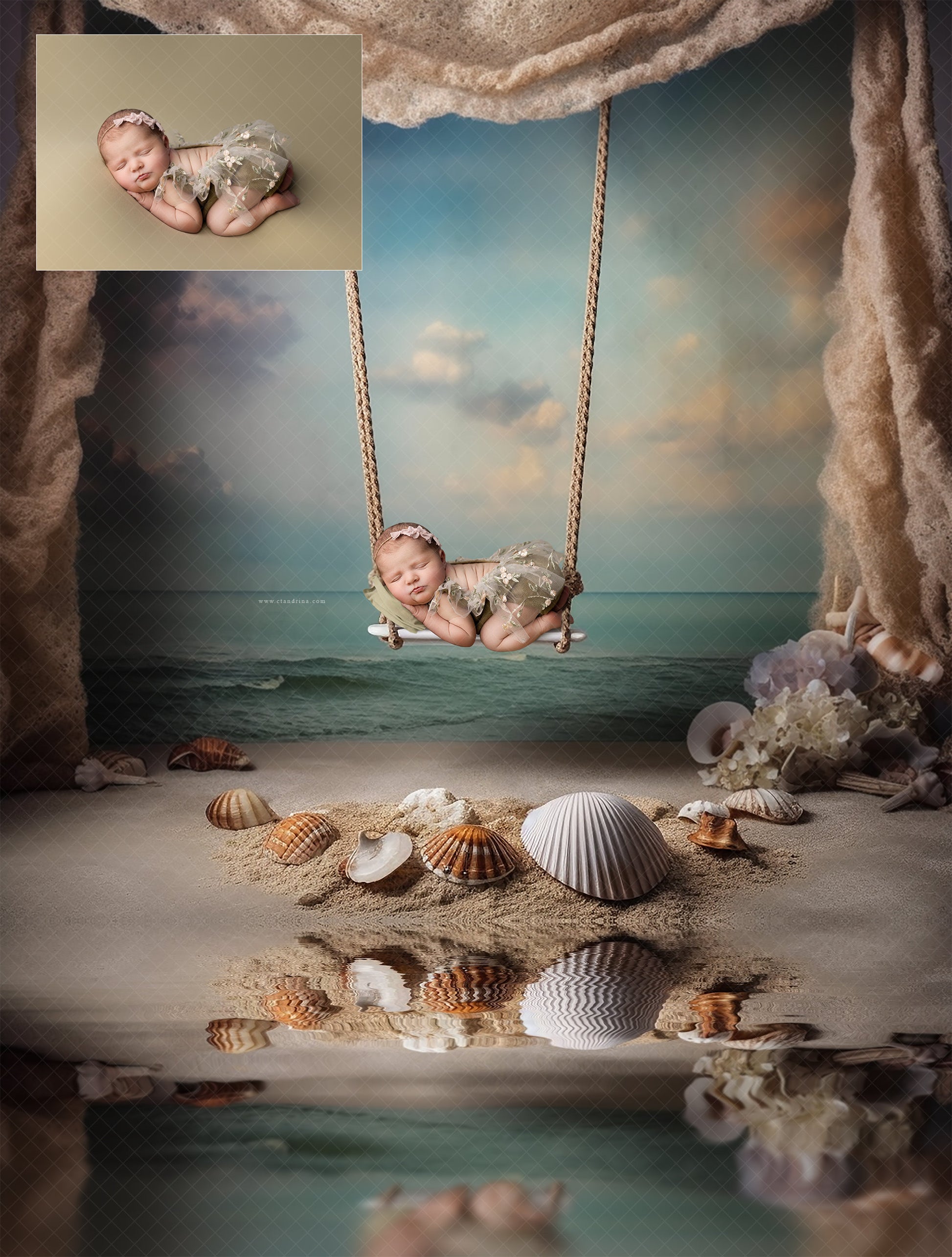 Seashells and Sand Digital Backdrops, Seashell Digital Backdrop, Maternity Digital Backdrops, Seashell Beach Backgrounds for Photoshop