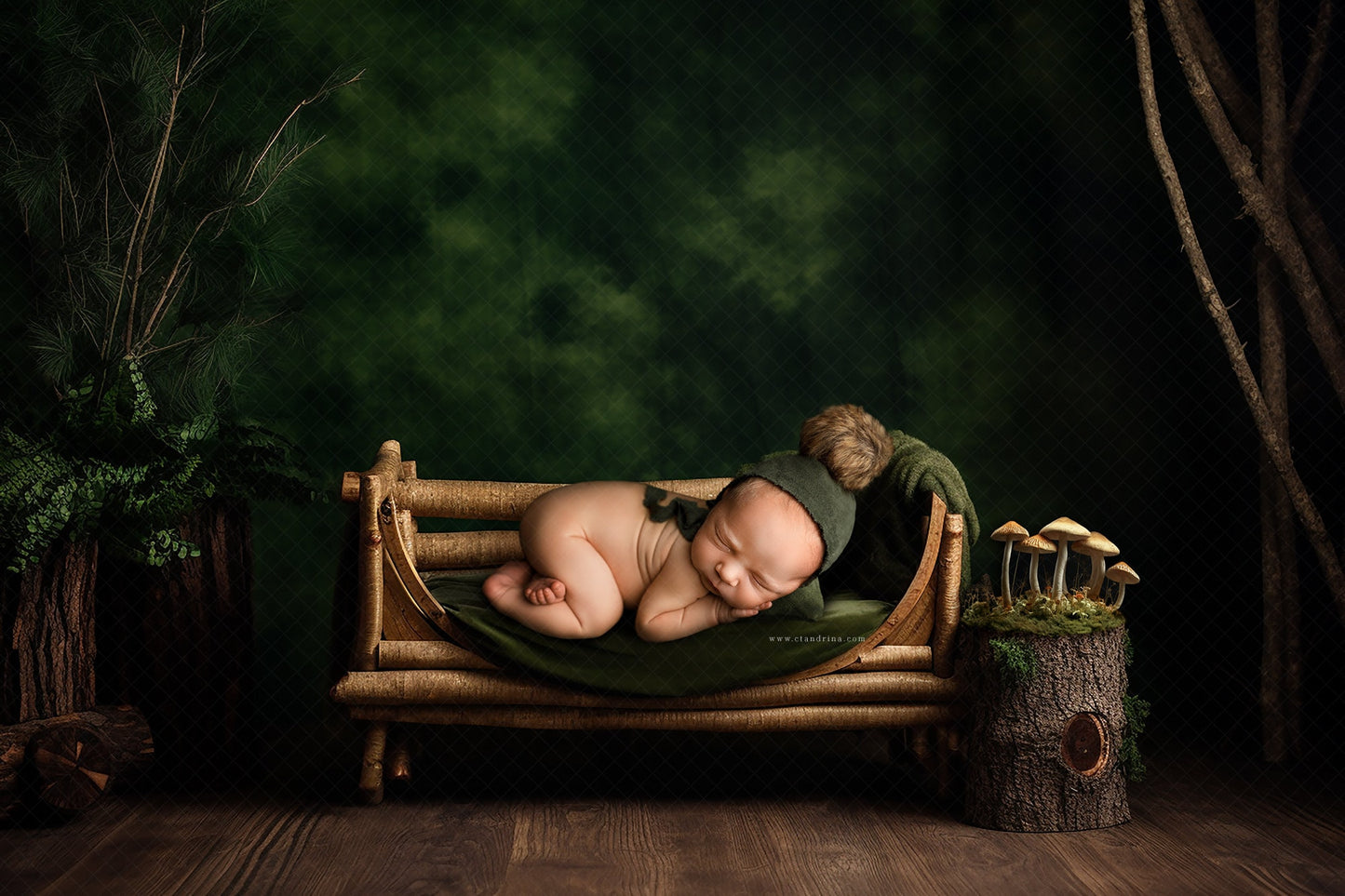 Forrest Newborn Digital Backdrop, Woods Baby Backdrop For Photoshop Composites, Wild One Backdrop, Woodland Newborn Backdrop