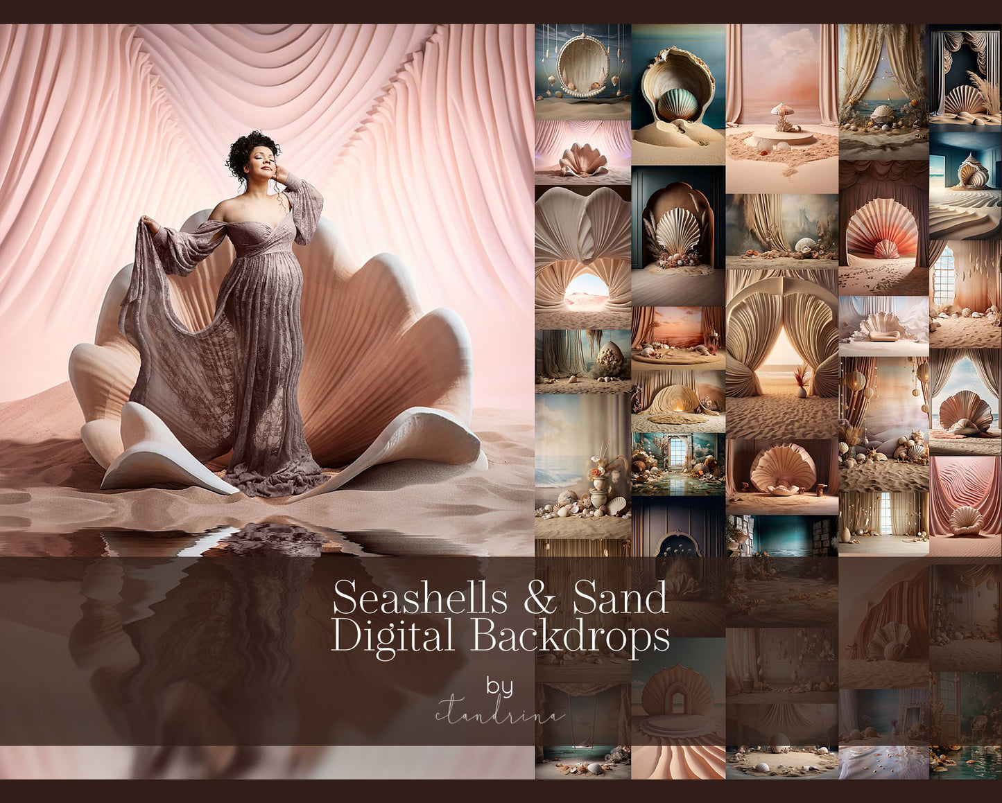 Seashells and Sand Digital Backdrops, Seashell Digital Backdrop, Maternity Digital Backdrops, Seashell Beach Backgrounds for Photoshop