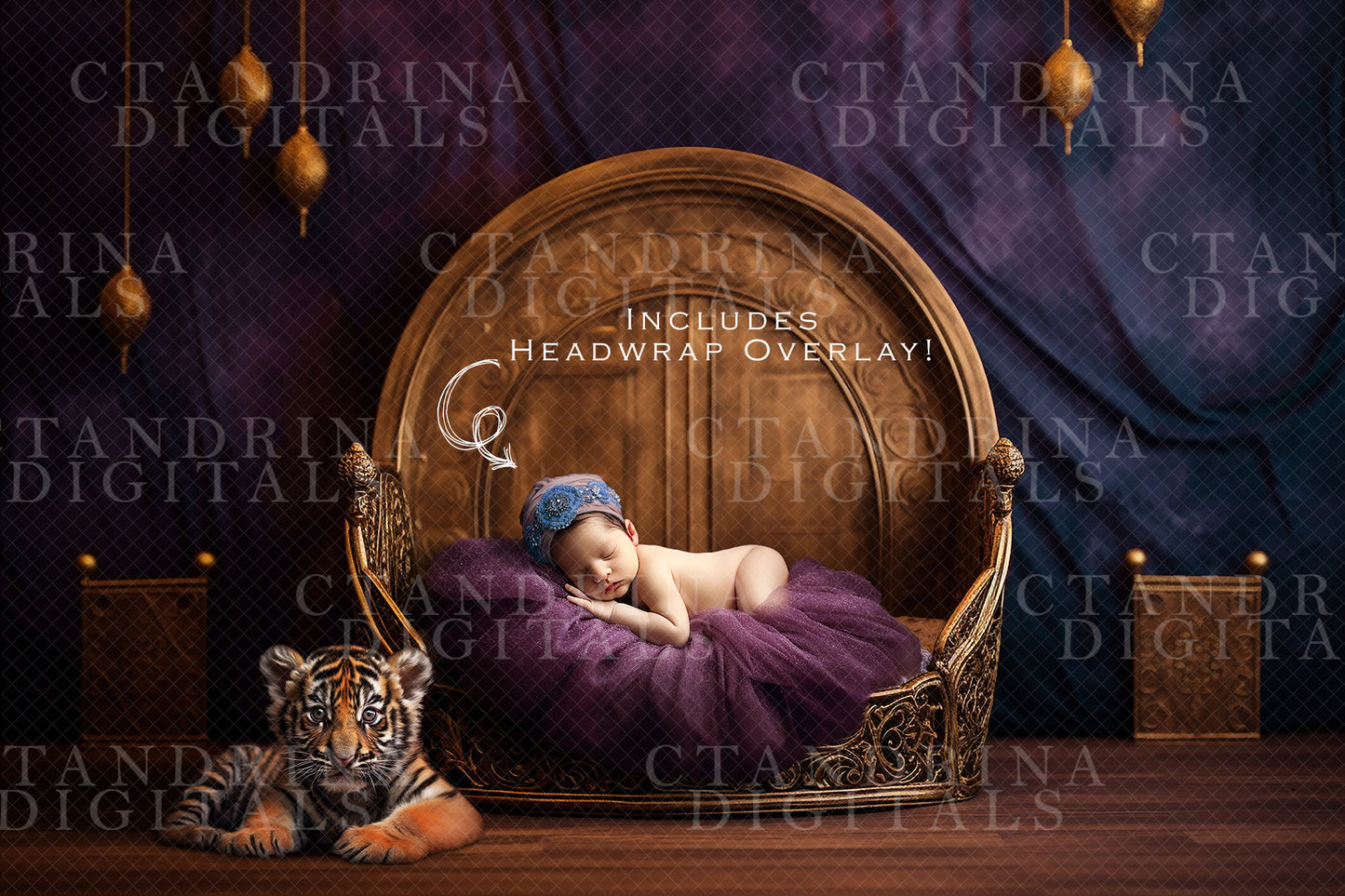 Arabian Princess Newborn Digital Backdrop, Arabian Baby Tiger Newborn Backdrop, Arabian Princess with Headwrap Overlay for Photoshop