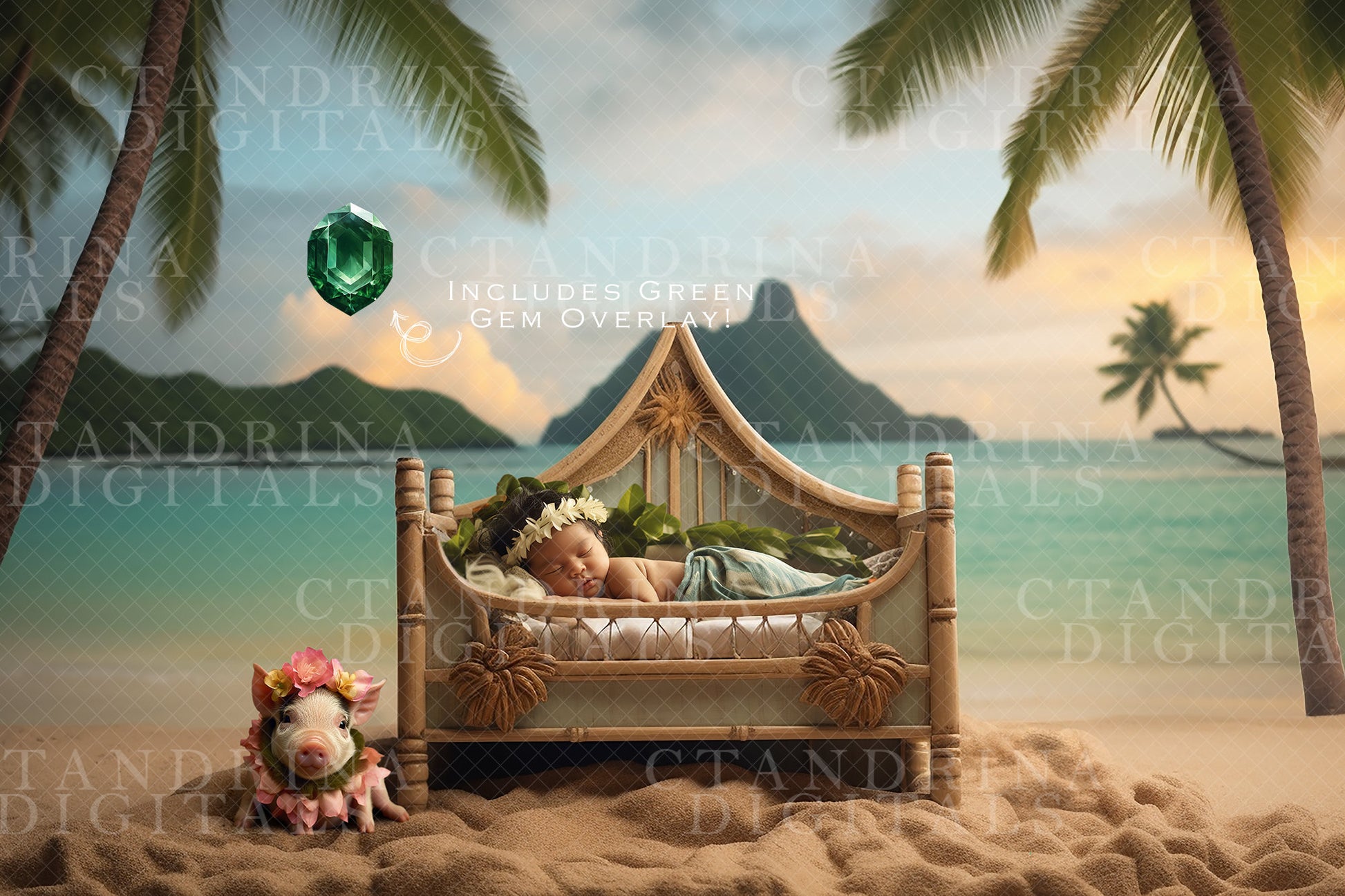 Polynesian Princess Newborn Digital Backdrop, Beach Princess Baby Digital Backdrop, Island Baby Digital Backdrop for Photoshop Composites