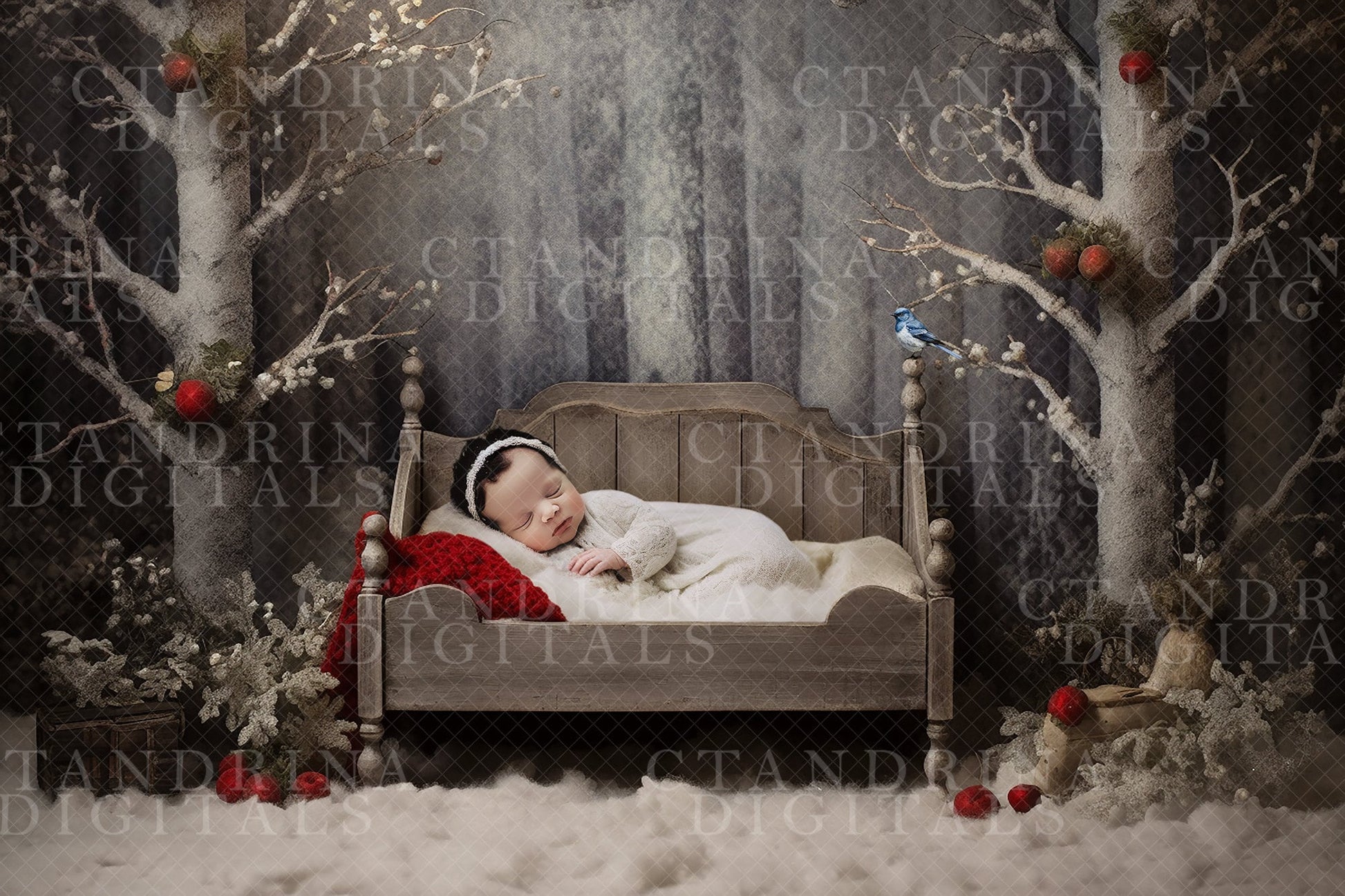 Frosted Trees Newborn Digital Backdrop, Winter Snow with a Blue Bird and Apples Baby Backdrop for Photoshop Composites, Snow Baby