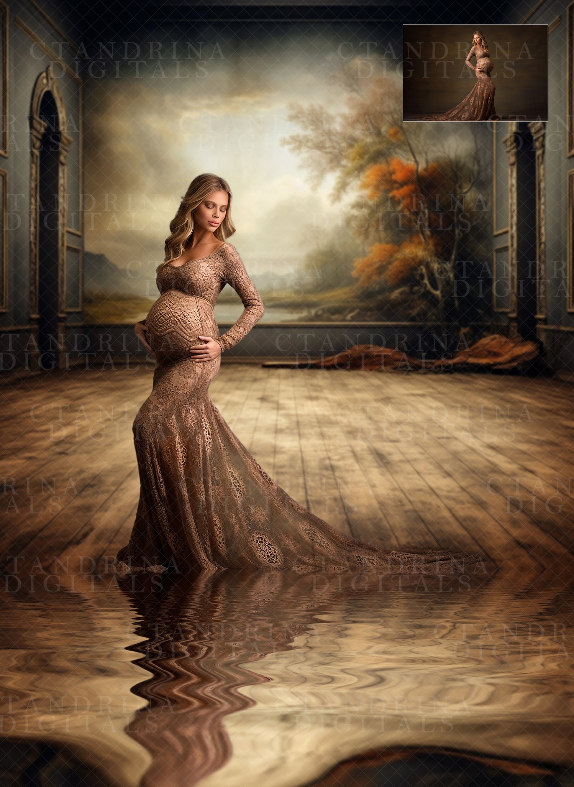 Fine Art Inspired Digital Backdrops, Fine Art Maternity Digital Backgrounds for Photoshop Composites, Fine Art Portrait Backdrops