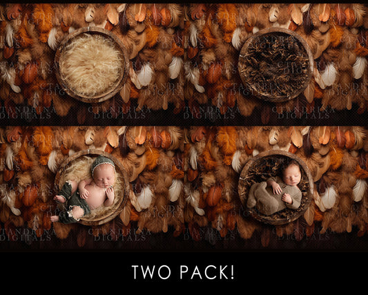 baby backdrops, newborn backdrops, newborn digital backdrops, thanksgiving newborn digital backdrop, fall digital backdrops, best newborn backdrops, ctandrina, best seller, turkey feather baby backdrop, newborn feather digital backdrop