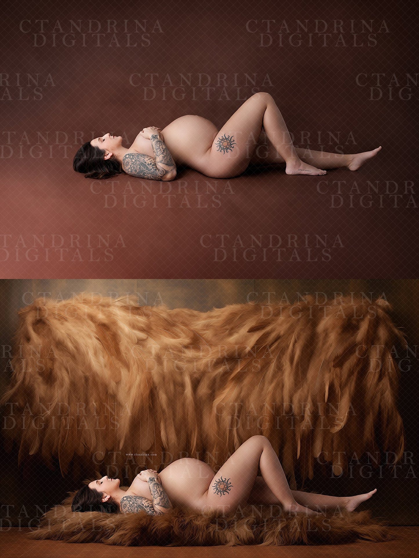 feather backdrops, fine art backdrops, feather textures, best seller, ctandrina, best maternity backdrops, maternity overlays, studio backdrops, peacock feathers, flowing feathers, flying feathers, falling feathers, photoshop backdrops, photoshop