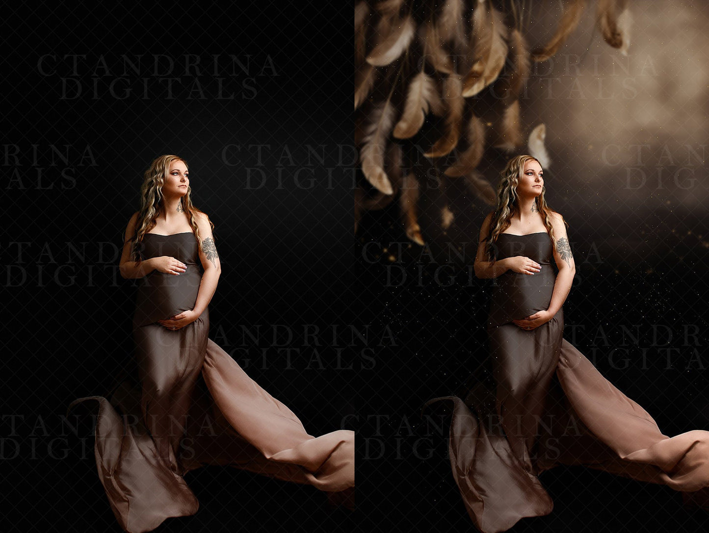 feather backdrops, fine art backdrops, feather textures, best seller, ctandrina, best maternity backdrops, maternity overlays, studio backdrops, peacock feathers, flowing feathers, flying feathers, falling feathers, photoshop backdrops, photoshop