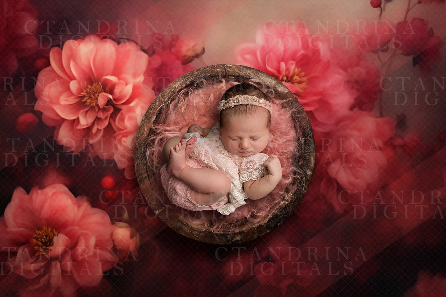 newborn digital backdrops, baby girl digital backdrops, valentines day digital backdrops, spring newborn digital backdrops, best sellers, best newborn digital backdrops, floral newborn digital backdrops, ctandrina digitals