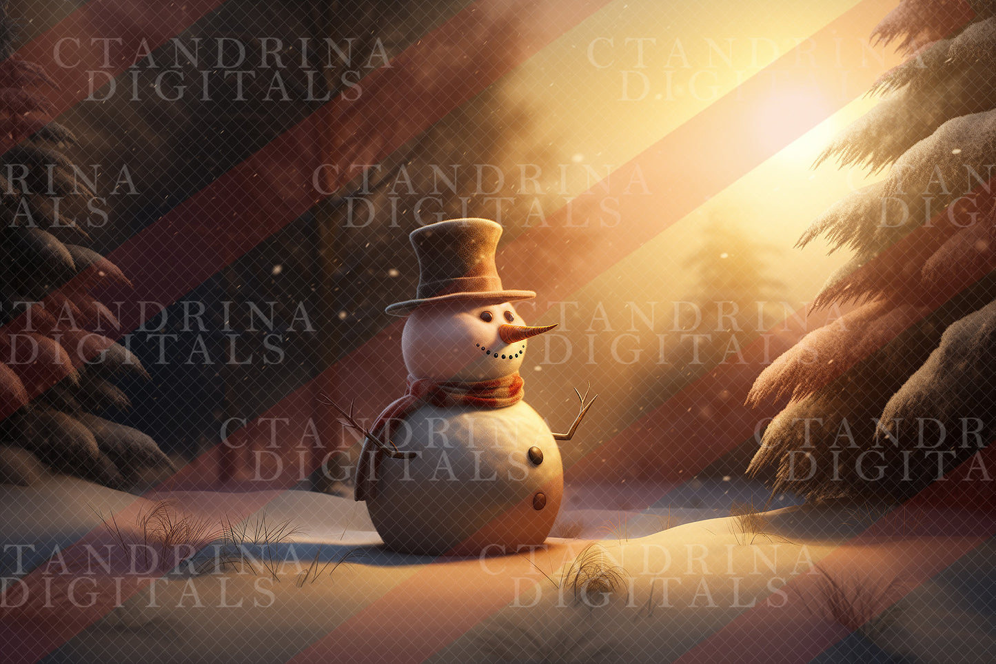 ctandrina digitals, best sellers, best digital backdrops, best overlays, christmas digital backdrops, dreamy backdrops, painterly backdrops, fine art backdrops, fun backdrops, snowman backdrops, snowmen backdrops, frosty digital backdrop, snowman