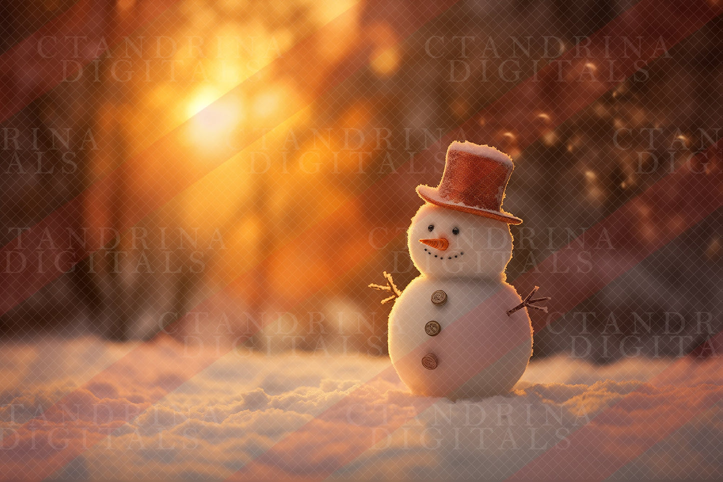 ctandrina digitals, best sellers, best digital backdrops, best overlays, christmas digital backdrops, dreamy backdrops, painterly backdrops, fine art backdrops, fun backdrops, snowman backdrops, snowmen backdrops, frosty digital backdrop, snowman