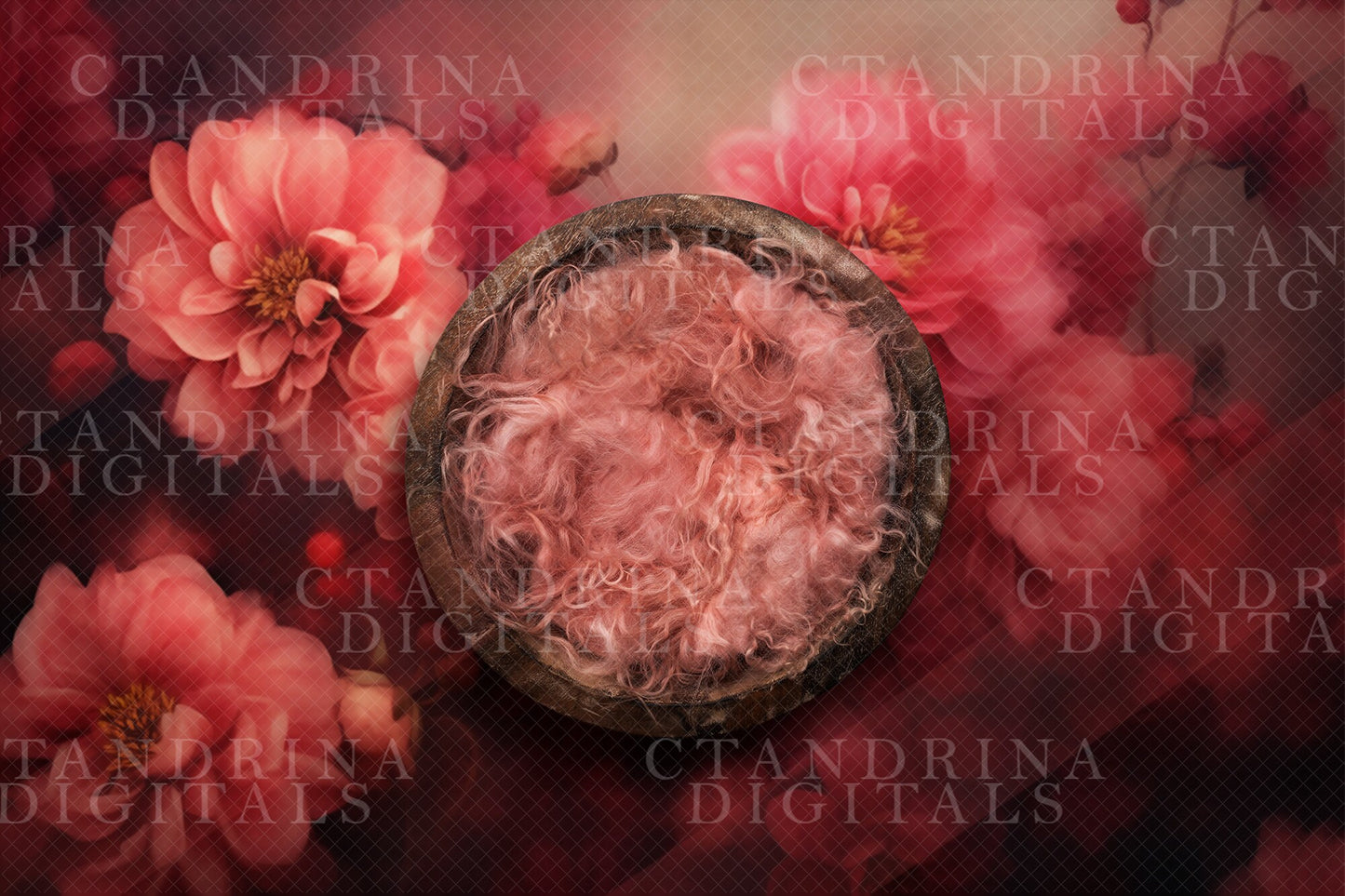 newborn digital backdrops, baby girl digital backdrops, valentines day digital backdrops, spring newborn digital backdrops, best sellers, best newborn digital backdrops, floral newborn digital backdrops, ctandrina digitals